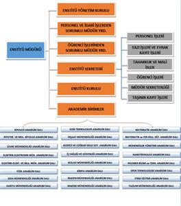 Teşkilat Şeması